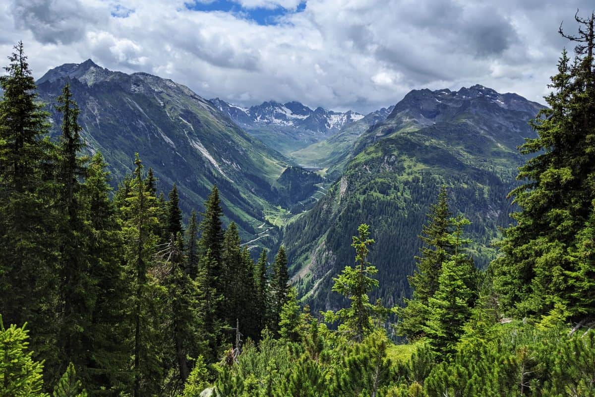 Urlaub in Vorarlberg: Unsere Sightseeing- und Wandertipps - Blick auf die Silvretta-Hochalpenstraße von der Wanderung zum Wiegensee im Montafon