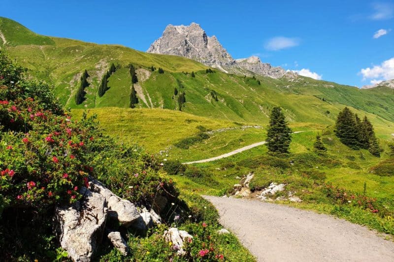 Wanderweg mit Blumen beim Körbersee in Vorarlberg