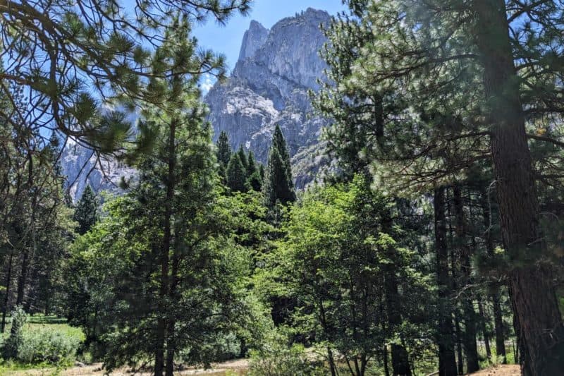 Bergpanorama auf dem Zumwalt Meadow Trail