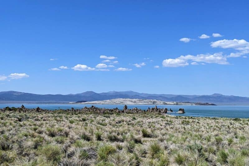 Trockenes Gras vor den spitzen Steinsäulen des Mono Lake