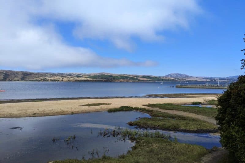 Sandbank in der Bucht Tomales Bay in Point Reyes