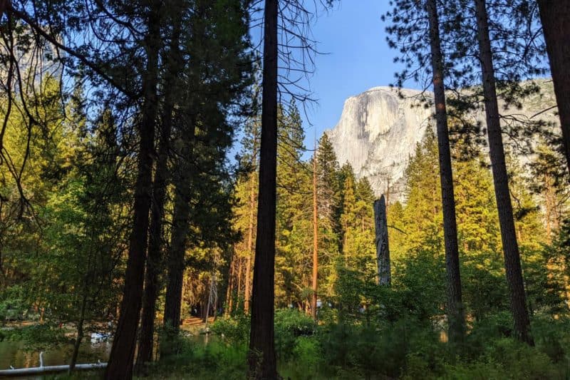 Abendsonne auf dem Half Dome