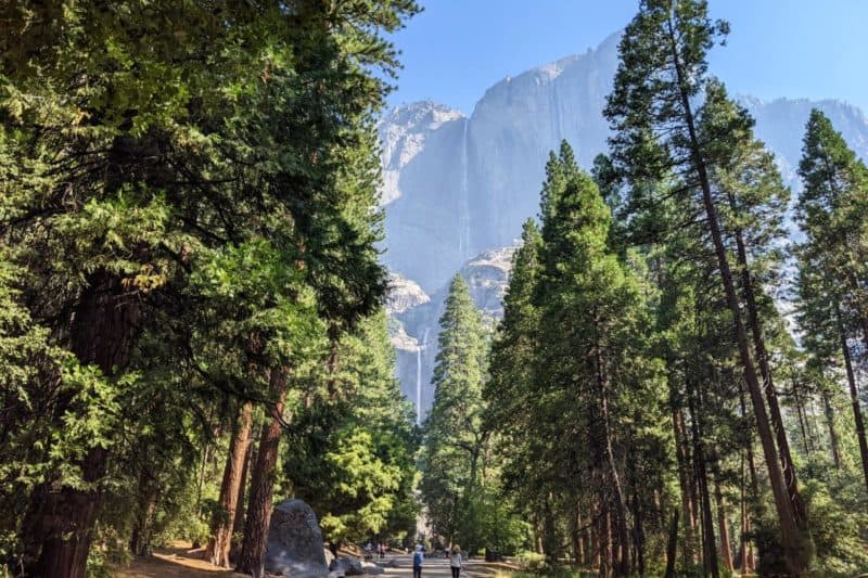 Die Yosemite Falls stürzen in mehreren Kaskaden in die Tiefe