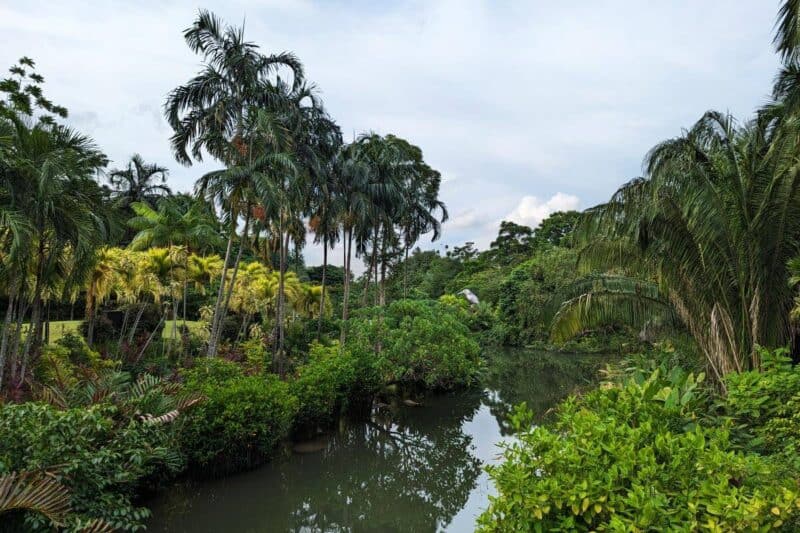 Palmen entlang eines Flusses in den Gardens by the Bay in Singapur
