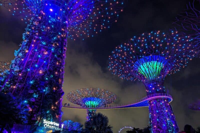 Beleuchtete Supertrees bei Nacht in den Gardens of the Bay in Singapur