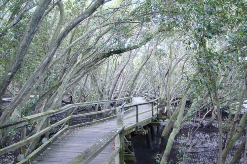 Boardwalk in den South Bank Parklands in Brisbane