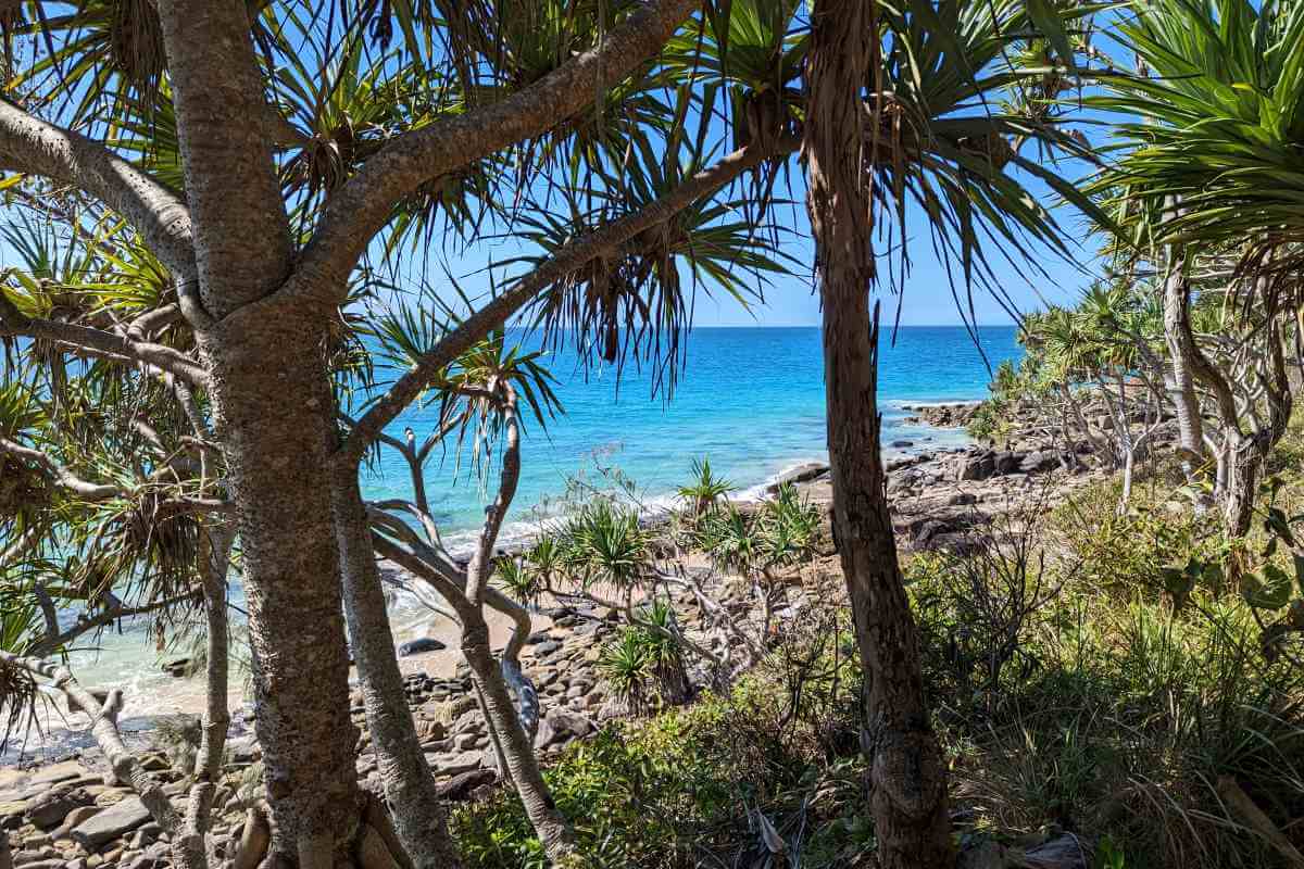 In diesem kompakten Überblick stellen wir dir unsere Highlights von Brisbane bis Cairns für eine Reise durch Queensland in Australien vor.