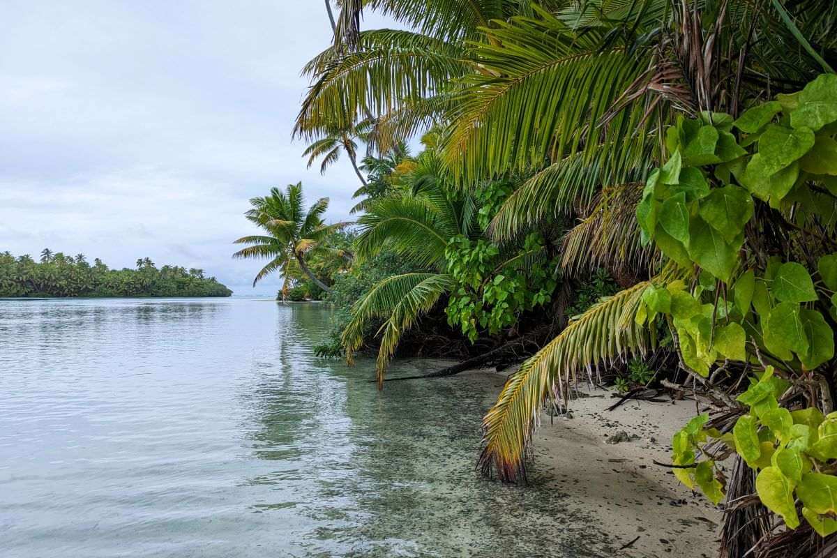 Erlebe die Cookinseln in 2 Tagen! Entdecke Kultur, Strände und atemberaubende Landschaften im Südpazifik auf den Inseln Rarotonga und Aitutaki.