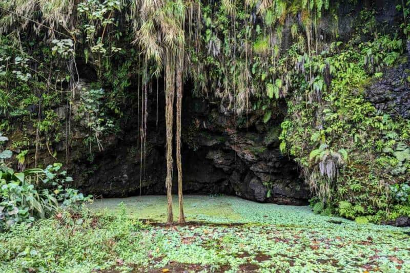 Grün bewachsener Teich vor einer der Grotten in den Grottes de Mara‘a auf Tahiti