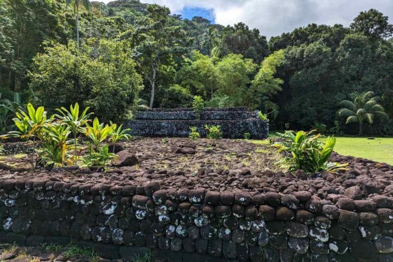 Mit Pflanzen bewachsenes Steinplateau des marae ‘Ārahurahu auf Tahiti