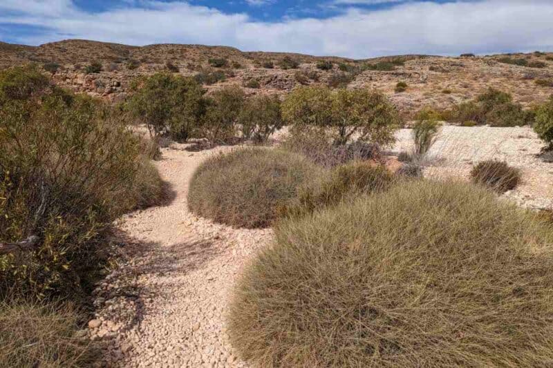 Spinifex-Grasbüschel und Akazienbäume besiedeln den kiesigen Boden des Mandu-Mandu-Trockenflusses