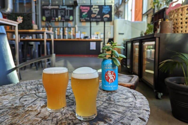 Tisch mit zwei frisch gezapften Gläsern Bier in der Little Creatures Brauerei in Fremantle