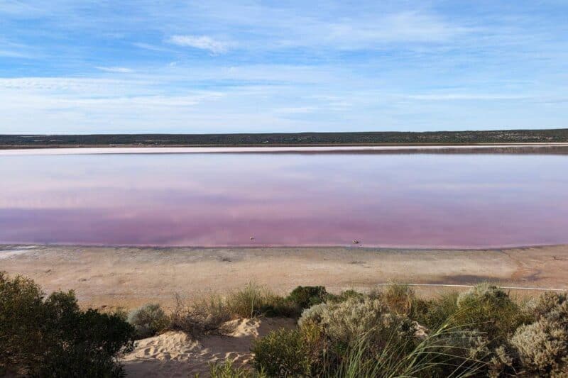 Panoramablick auf die Hutt Lagoon mit ihrem rosa gefärbten Wasser