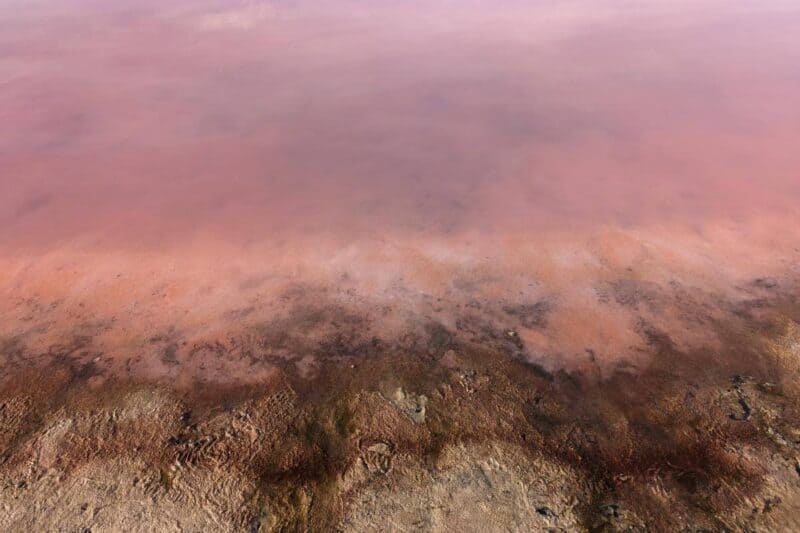 Nahaufnahme des rosafarbenen Wassers in der Hutt Lagoon