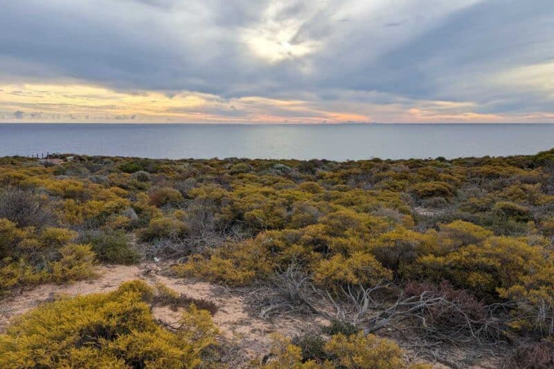 Flache Büsche bedecken die Steilküste des Kalbarri National Parks in Westaustralien