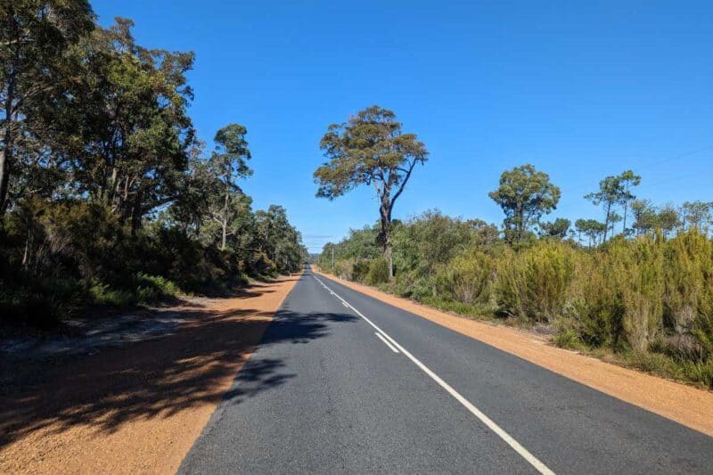 Von halbhohen Büschen und Bäumen gesäumte, schnurgerade Landstraße in Westaustralien