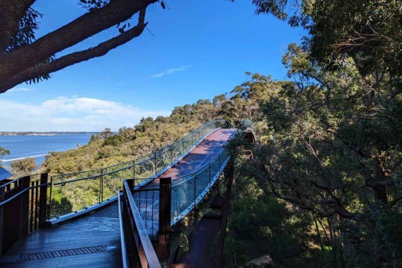 Hölzerner Baumwipfelpfad mit Meerblick im Botanischen Garten von Perth