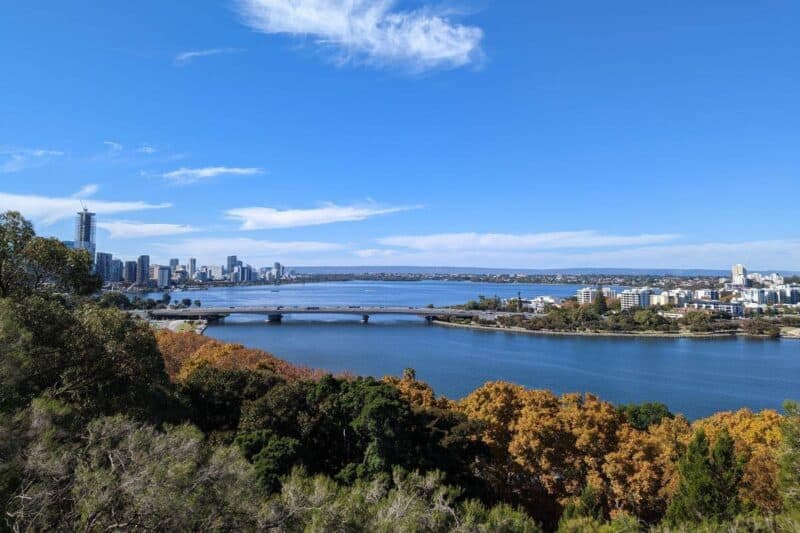 Blick auf die Skyline von Perth, gerahmt von herbstlich gefärbten Bäumen