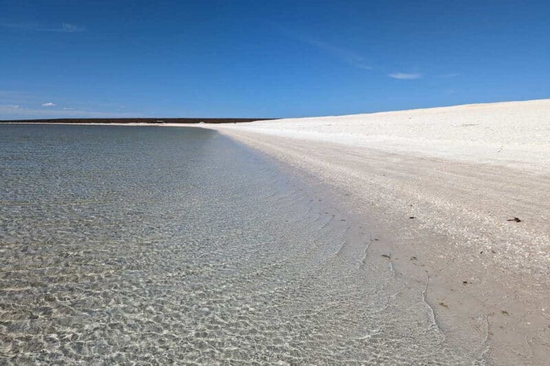 Weißer Muschelsand hinter der flachen, glasklaren Bucht von Shark Bay