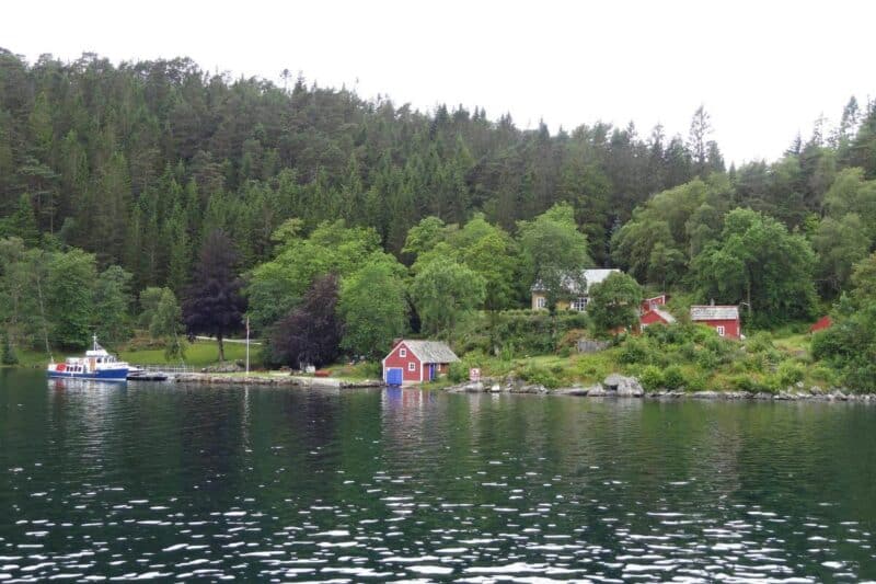 Rote Holzhäuser im grünen Wald direkt am Ufer eines Fjords bei Bergen