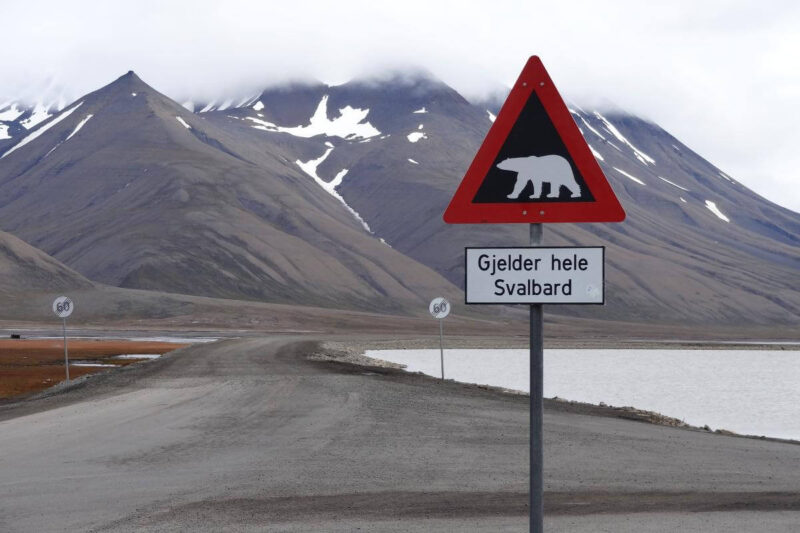 Eisbärenwarnschild mit spitzen Bergen im Hintergrund auf Spitzbergen