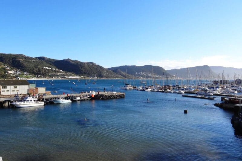 Das Hafenbecken von Simon's Town auf der Kaphalbinsel mit Segelbooten und Bergen im Hintergrund