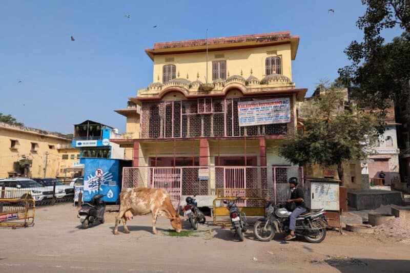 Ein zweistöckiges Haus in Jaipur mit Motorrad und grasender Kuh